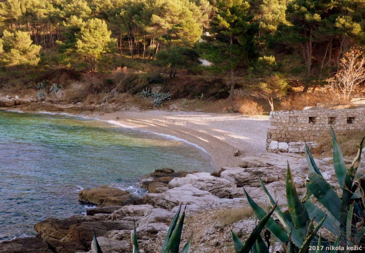 Guesthouse Torga Vis Island Eksteriør bilde